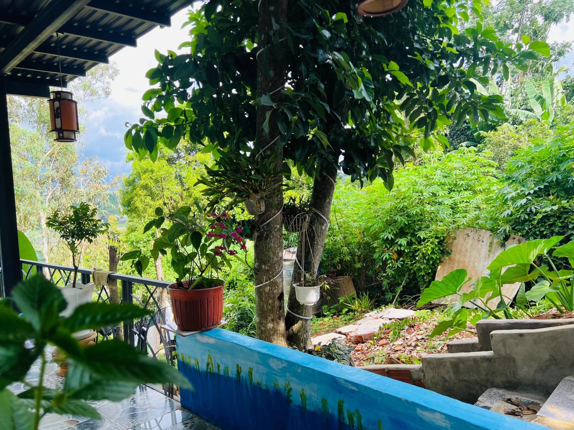 Gio Homestay - Плейку Экстерьер фото